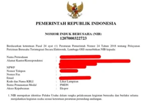 Contoh dokumen NIB usaha kecil yang sah dan legal